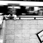 zkoRUMpovaná farmacie