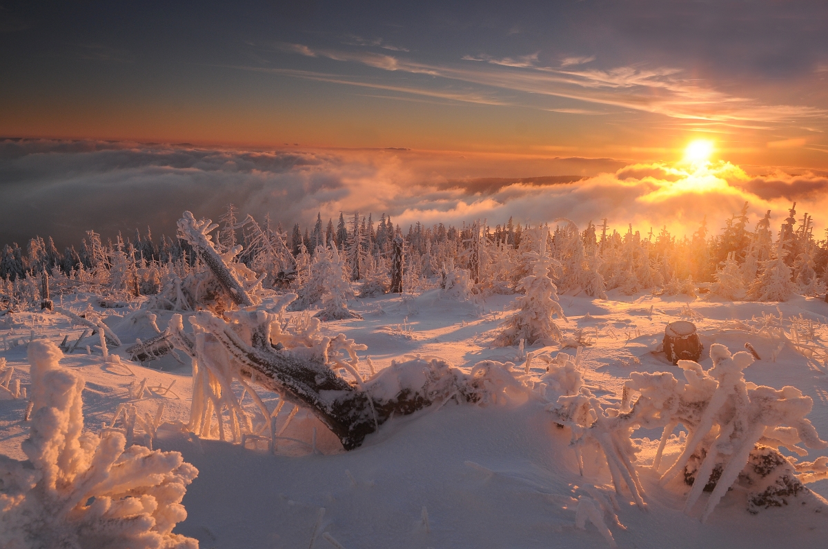 Večerní Smrk, Beskydy