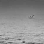 Sedia na konári a je im dobre...