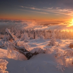 Večerní Smrk, Beskydy