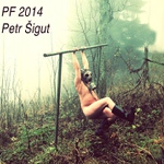 PF 2014