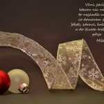 Veselé Vánoce!
