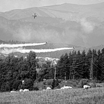 klidne letni odpoledne - na pasi