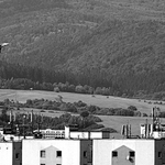  klidne letni odpoledne - doma