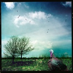 Zítra už to zkusím taky!