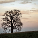 Zimní (nebo snad podzimní / jarní ???)