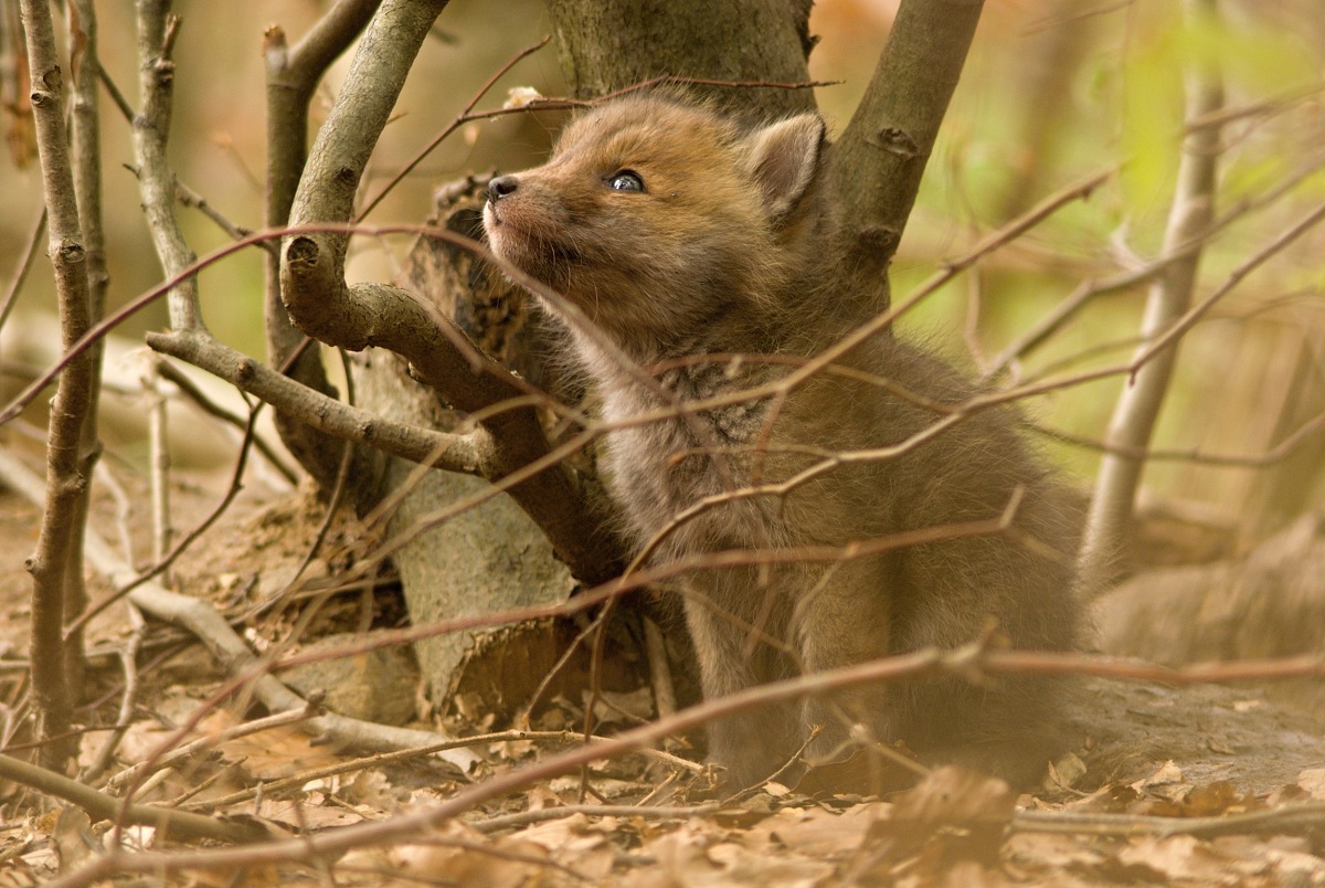 Chvilka k zamyšlení
