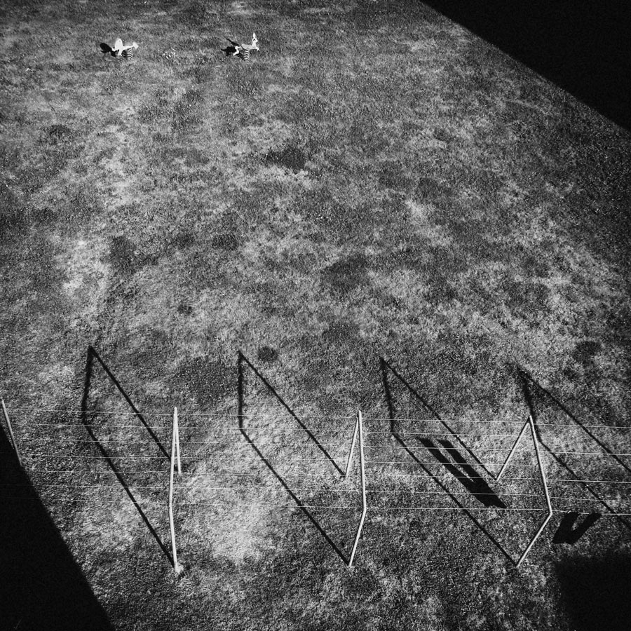 Drying Machine And Wild Horses