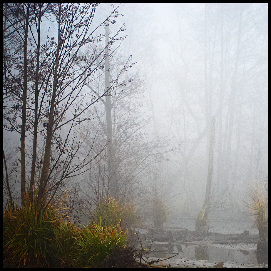LOST II.