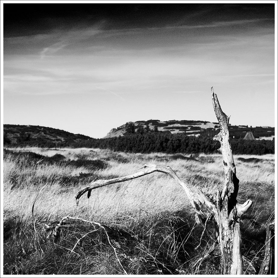 Kdesi v Krkonoších