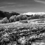 zimné lúky pod Ďumbierom