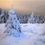 Beskydská kýčovka