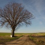 Kříž u cesty