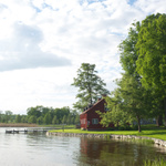 Něco jarního pro změnu....