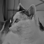 povánočná "siesta"