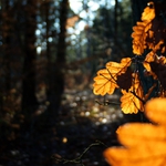 Zkoušel jsem fotit zimní radovánky :-D