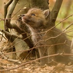 Chvilka k zamyšlení