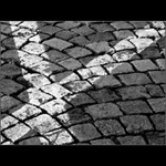 Podlahovka intelektuálka