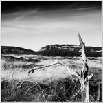 Kdesi v Krkonoších