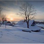 Zimní podvečer I