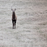 V pozoru...a s cigárem.