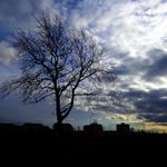 Stmívání za městem