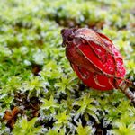 Měl čepici a stejně zmrznul