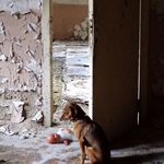 Hlídač dětských snů