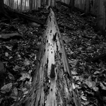 Nerušit rozkládám se.