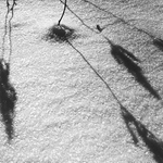 sezonni loutkove divadlo