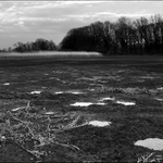 Jaro na dně rybníka