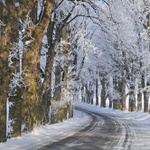 Takových dnů bylo letos pomálu