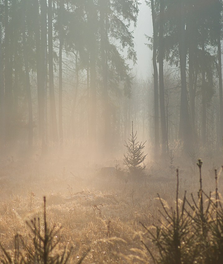 Klubající se sluníčko :)