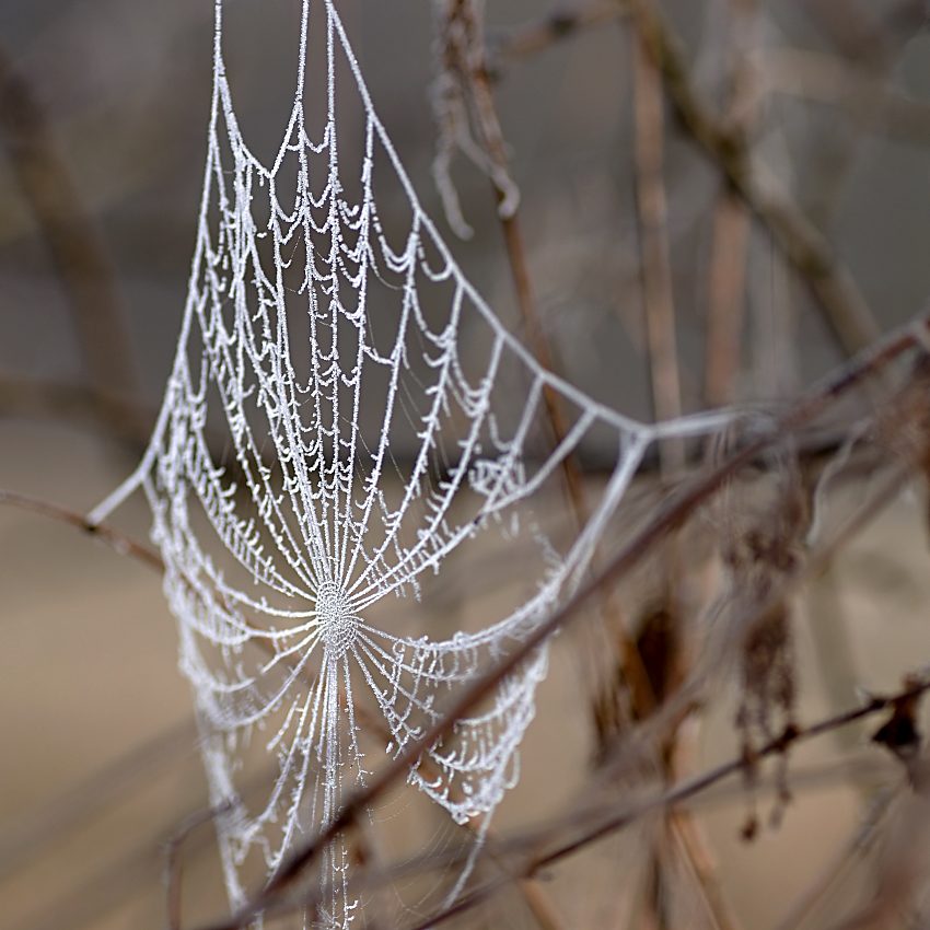 Ráno uháčkovaná :)