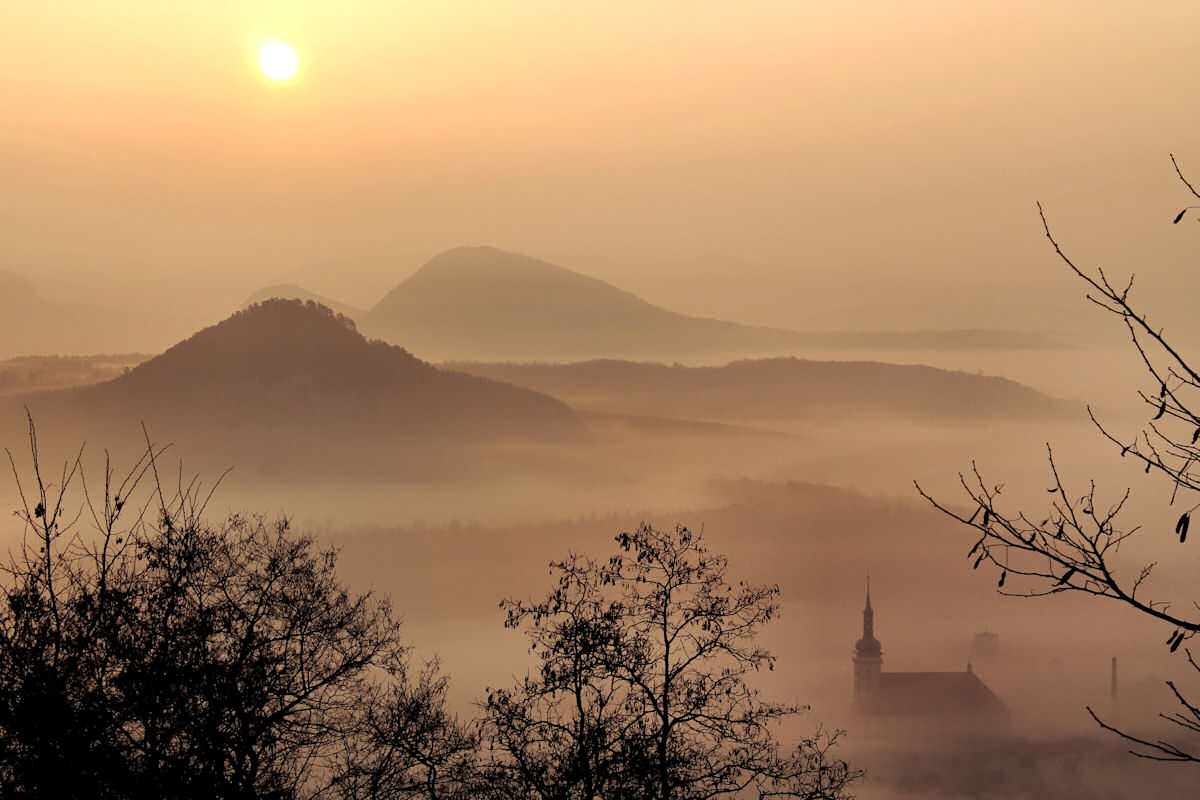 In the morning