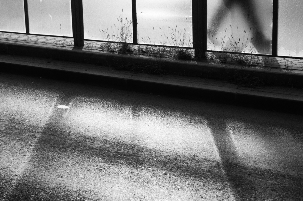 MoML 11. března 2014