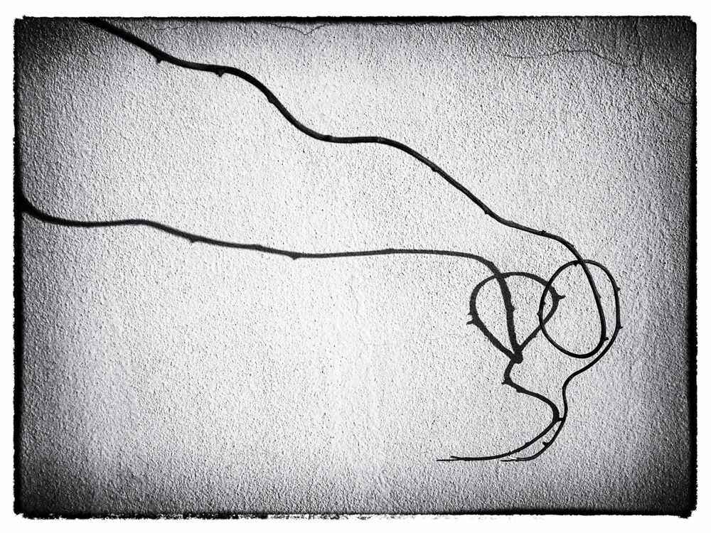 Neotáčej se, hade - MoML 27. března 2014