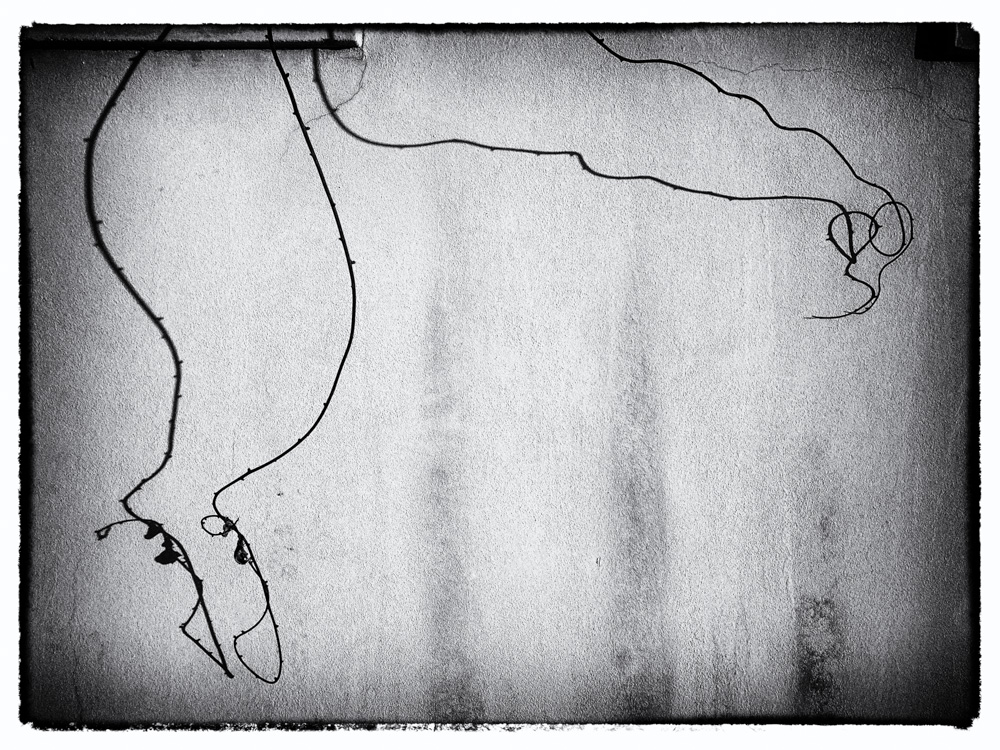 Akt od Picassa - MoML 28. března 2014