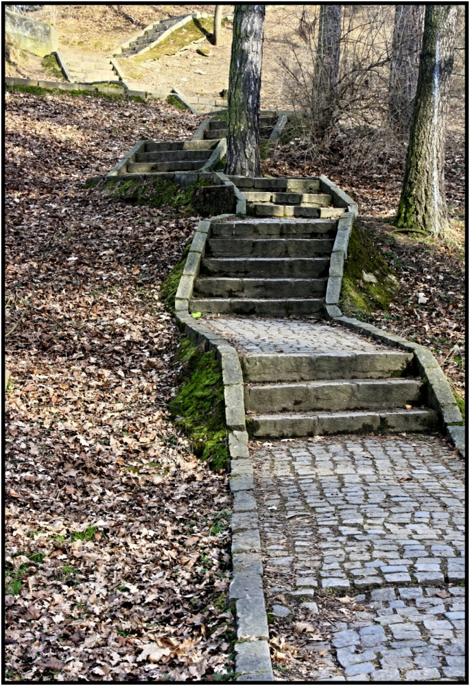 Schody v parku