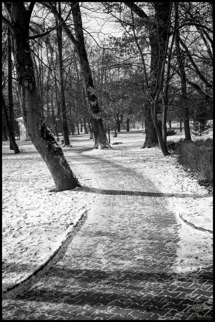 Posledni cesta
