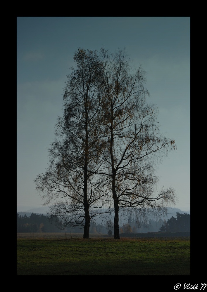 Krajina