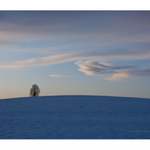 ... zimný Windows ...