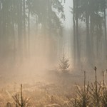 Klubající se sluníčko :)