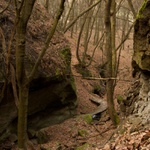 Tesárská Roklina