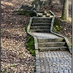 Schody v parku