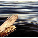 vsechno se chova stejne