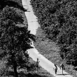 Cestička