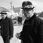 mladé vínko