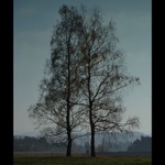 Krajina