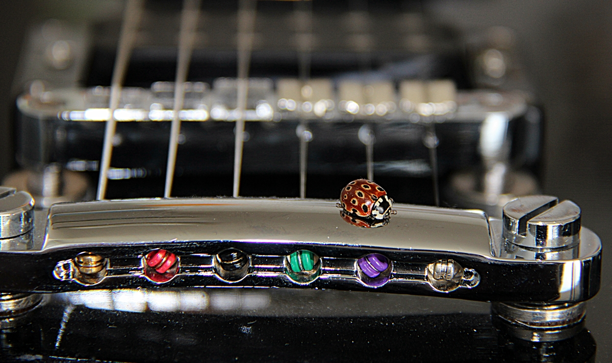 hledá tu svou strunu